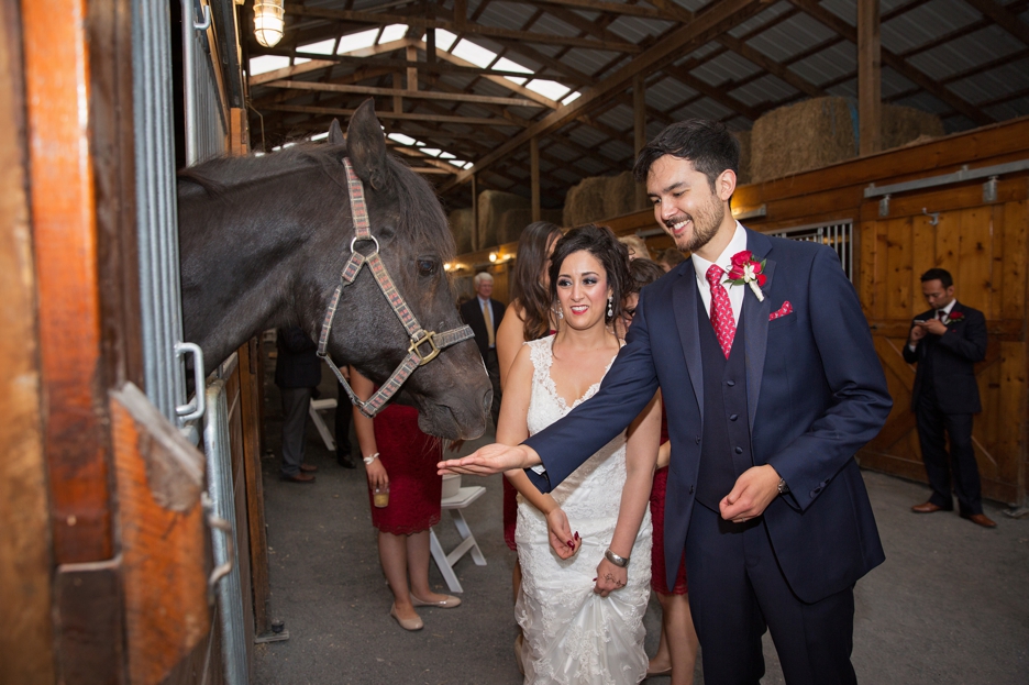 Hermitage Hill Farm and Stables wedding